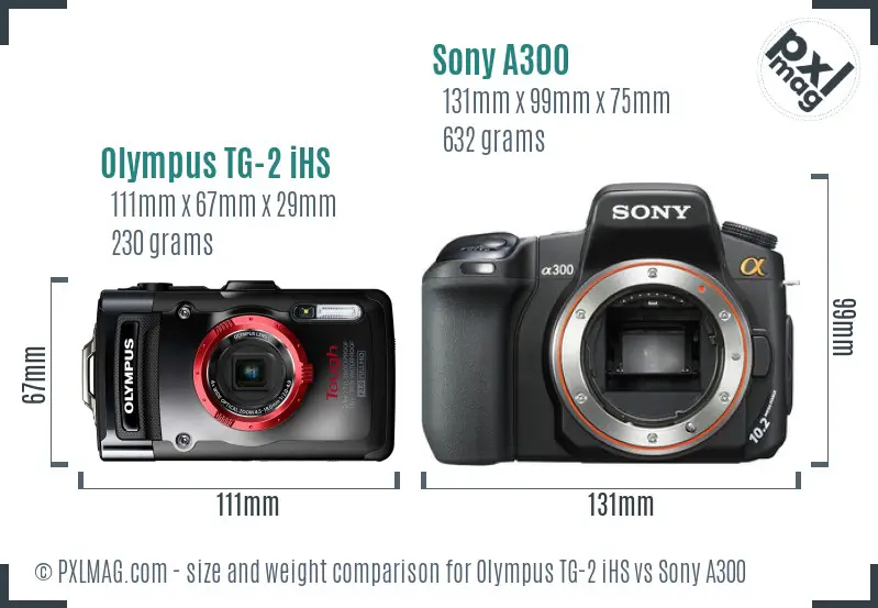 Olympus TG-2 iHS vs Sony A300 size comparison