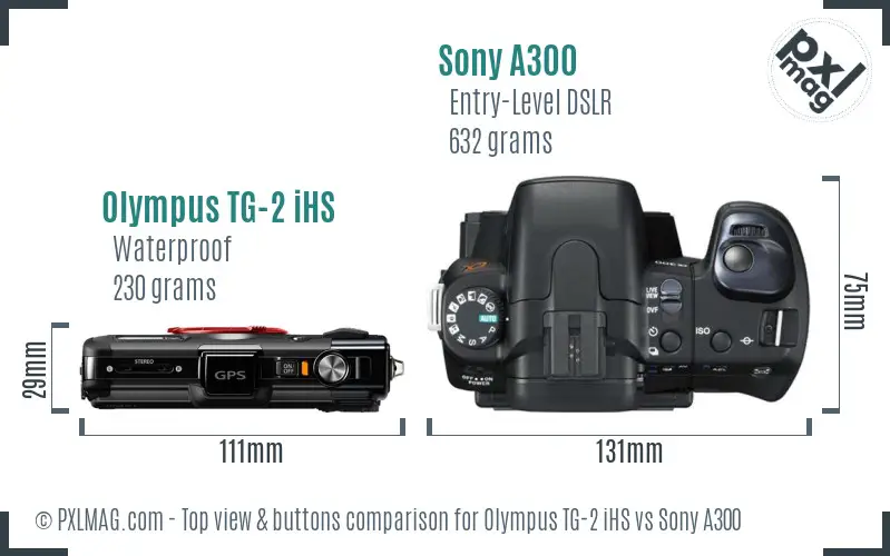 Olympus TG-2 iHS vs Sony A300 top view buttons comparison