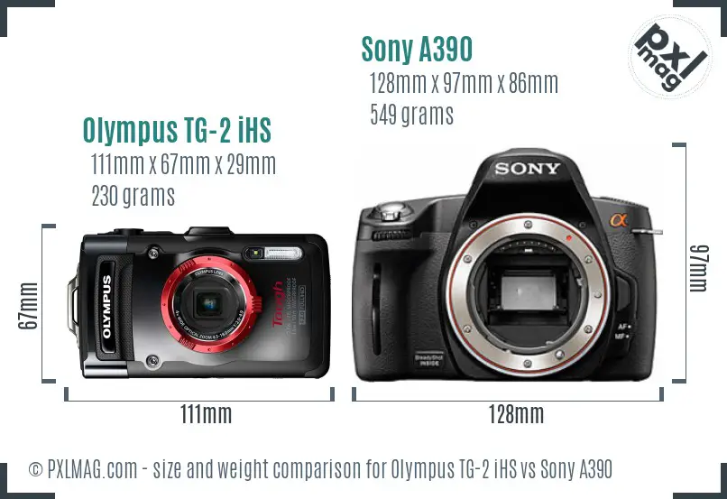 Olympus TG-2 iHS vs Sony A390 size comparison