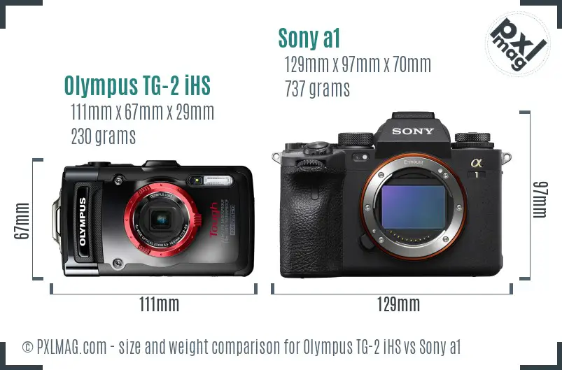 Olympus TG-2 iHS vs Sony a1 size comparison