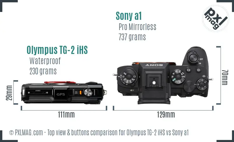 Olympus TG-2 iHS vs Sony a1 top view buttons comparison
