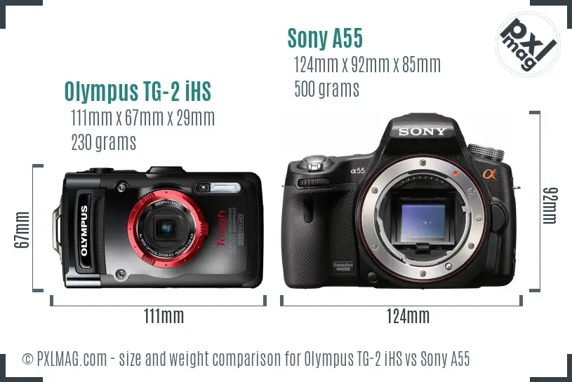 Olympus TG-2 iHS vs Sony A55 size comparison