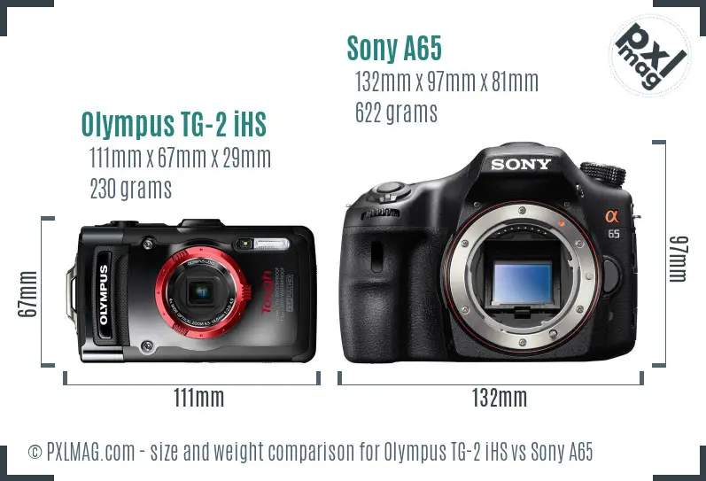 Olympus TG-2 iHS vs Sony A65 size comparison