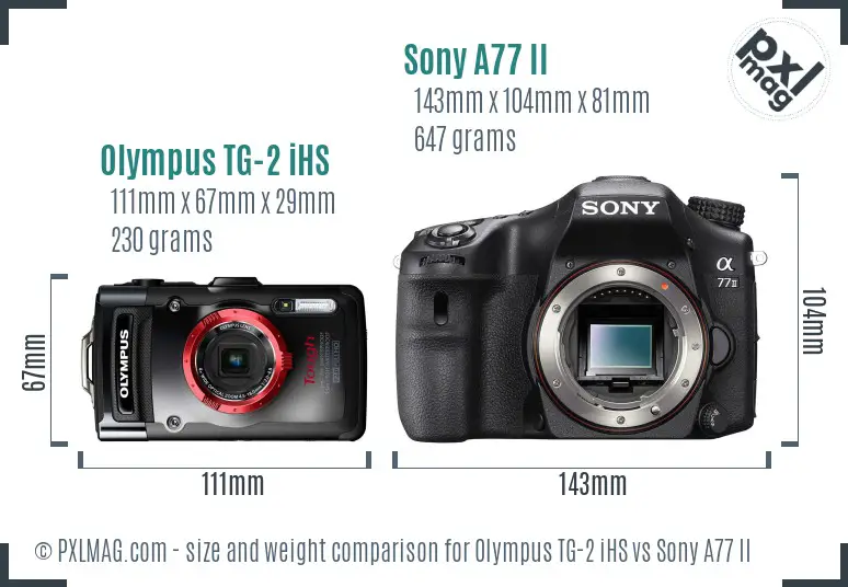 Olympus TG-2 iHS vs Sony A77 II size comparison