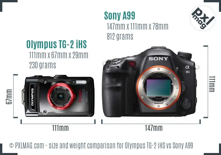 Olympus TG-2 iHS vs Sony A99 size comparison