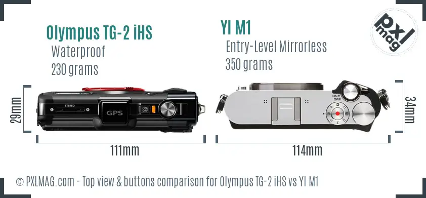 Olympus TG-2 iHS vs YI M1 top view buttons comparison