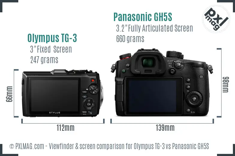 Olympus TG-3 vs Panasonic GH5S Screen and Viewfinder comparison