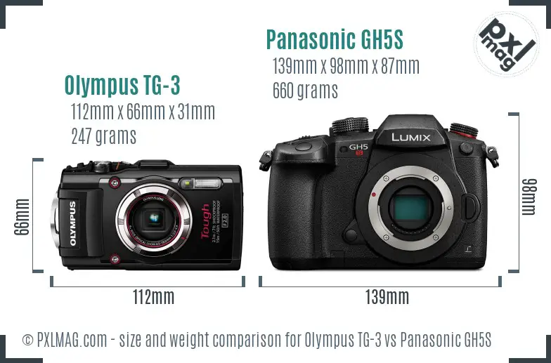 Olympus TG-3 vs Panasonic GH5S size comparison