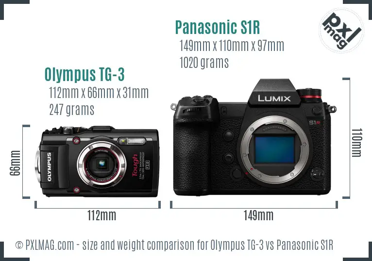 Olympus TG-3 vs Panasonic S1R size comparison
