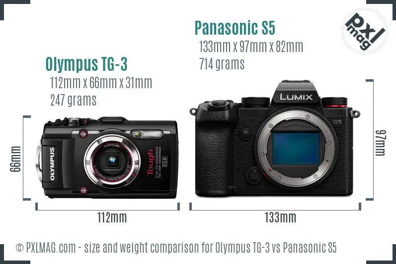 Olympus TG-3 vs Panasonic S5 size comparison