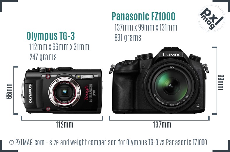 Olympus TG-3 vs Panasonic FZ1000 size comparison