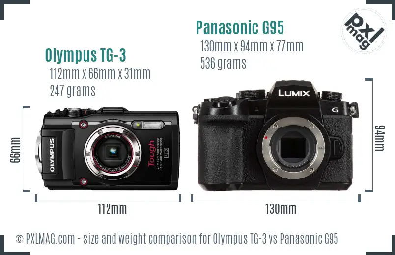 Olympus TG-3 vs Panasonic G95 size comparison