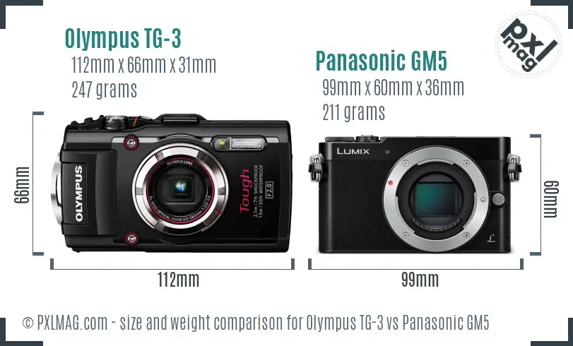Olympus TG-3 vs Panasonic GM5 size comparison Olympus TG-3 vs Panasonic GM5 size comparison