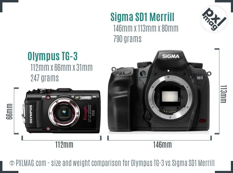 Olympus TG-3 vs Sigma SD1 Merrill size comparison Olympus TG-3 vs Sigma SD1 Merrill size comparison