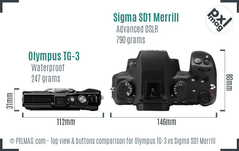 Olympus TG-3 vs Sigma SD1 Merrill top view buttons comparison Olympus TG-3 vs Sigma SD1 Merrill top view buttons comparison