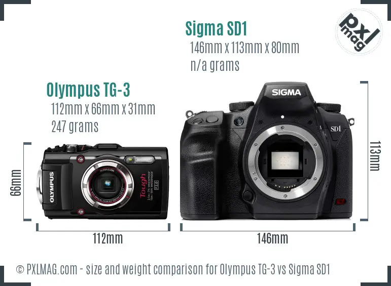 Olympus TG-3 vs Sigma SD1 size comparison