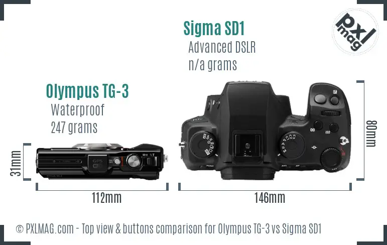 Olympus TG-3 vs Sigma SD1 top view buttons comparison