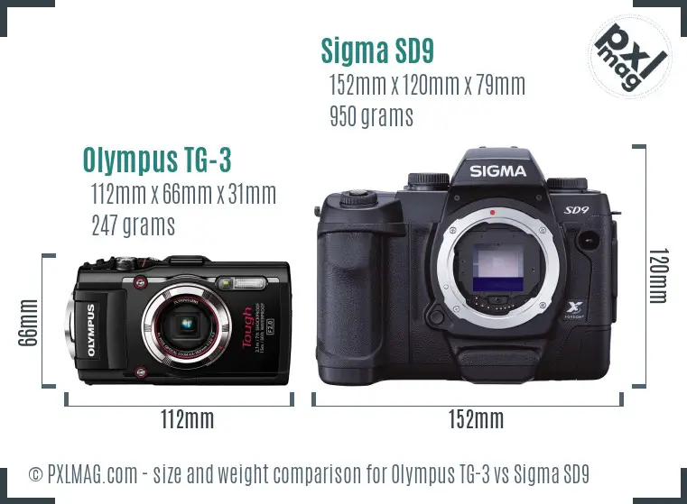 Olympus TG-3 vs Sigma SD9 size comparison