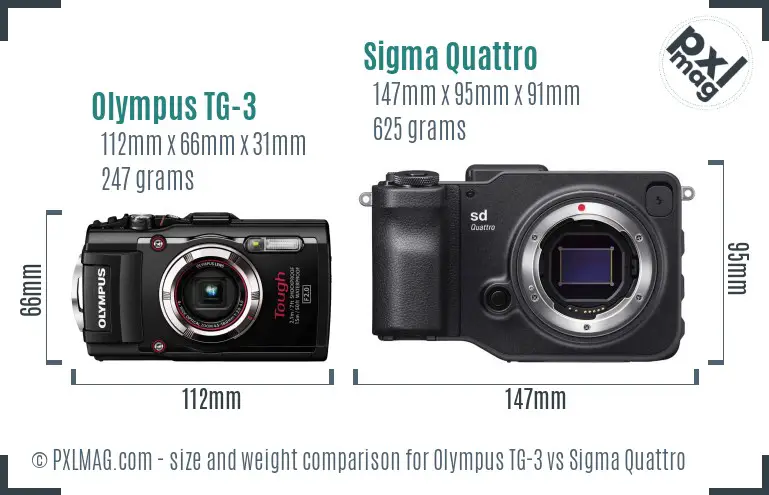 Olympus TG-3 vs Sigma Quattro size comparison