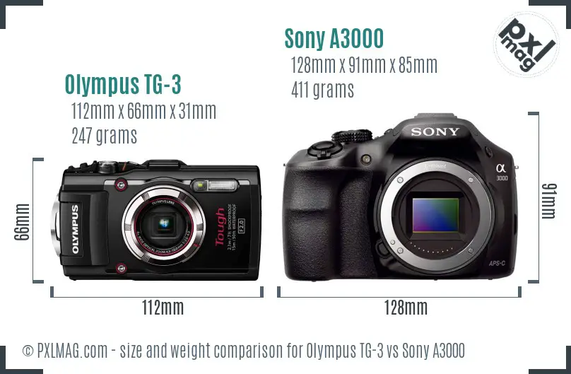 Olympus TG-3 vs Sony A3000 size comparison