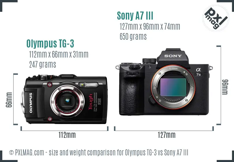 Olympus TG-3 vs Sony A7 III size comparison