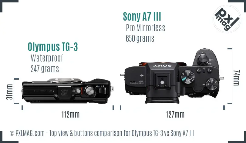 Olympus TG-3 vs Sony A7 III top view buttons comparison