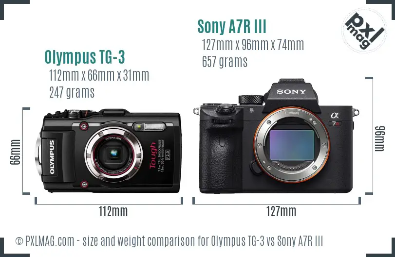 Olympus TG-3 vs Sony A7R III size comparison
