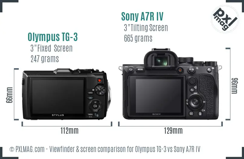 Olympus TG-3 vs Sony A7R IV Screen and Viewfinder comparison