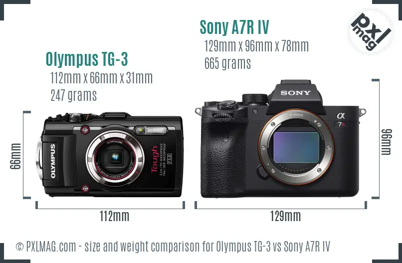 Olympus TG-3 vs Sony A7R IV size comparison
