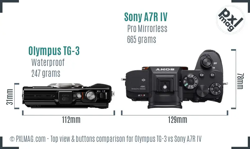 Olympus TG-3 vs Sony A7R IV top view buttons comparison