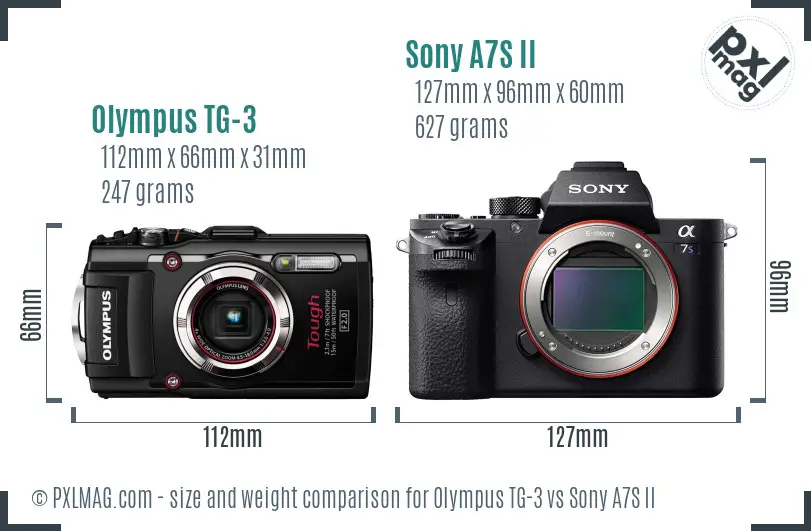 Olympus TG-3 vs Sony A7S II size comparison