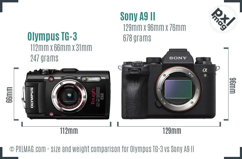 Olympus TG-3 vs Sony A9 II size comparison