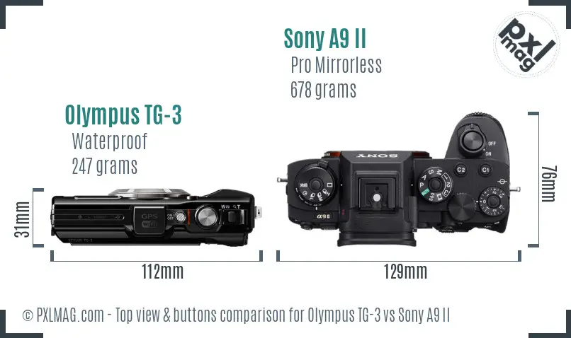 Olympus TG-3 vs Sony A9 II top view buttons comparison