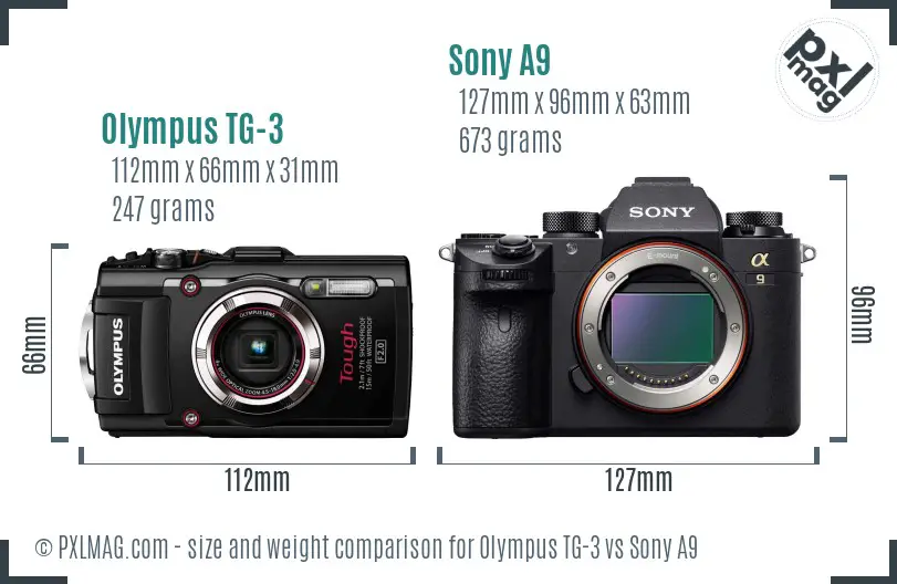 Olympus TG-3 vs Sony A9 size comparison