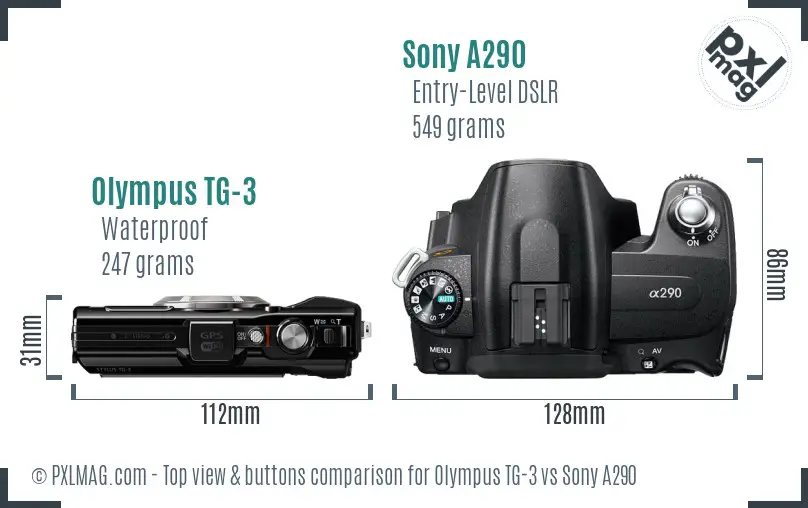 Olympus TG-3 vs Sony A290 top view buttons comparison