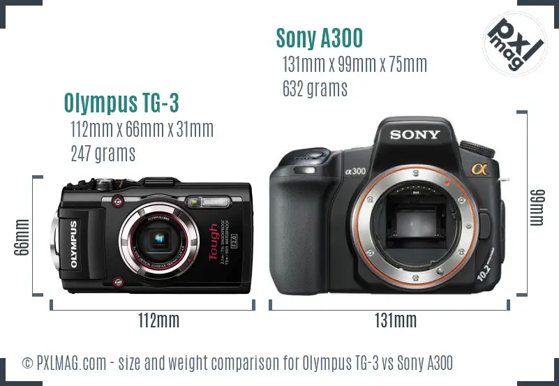 Olympus TG-3 vs Sony A300 size comparison