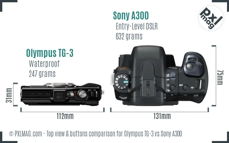 Olympus TG-3 vs Sony A300 top view buttons comparison