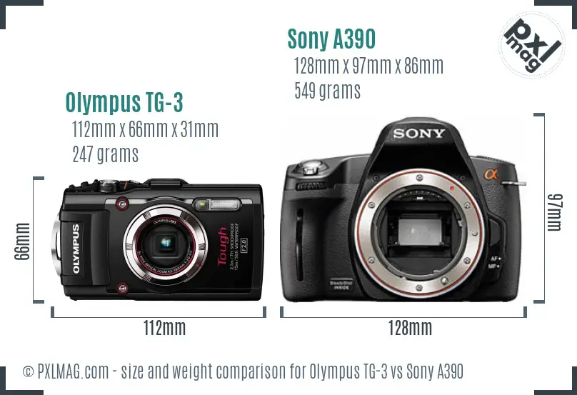 Olympus TG-3 vs Sony A390 size comparison