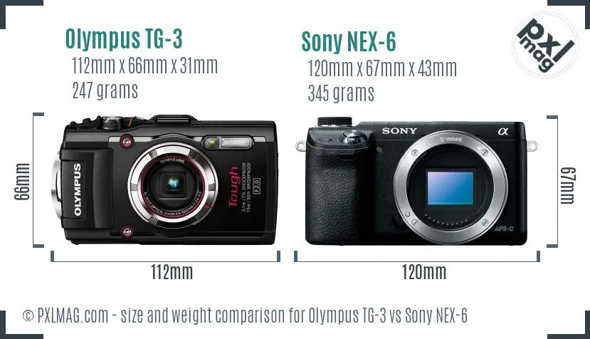 Olympus TG-3 vs Sony NEX-6 size comparison