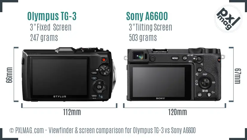 Olympus TG-3 vs Sony A6600 Screen and Viewfinder comparison