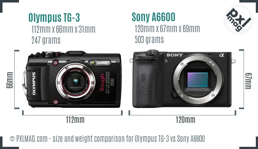 Olympus TG-3 vs Sony A6600 size comparison