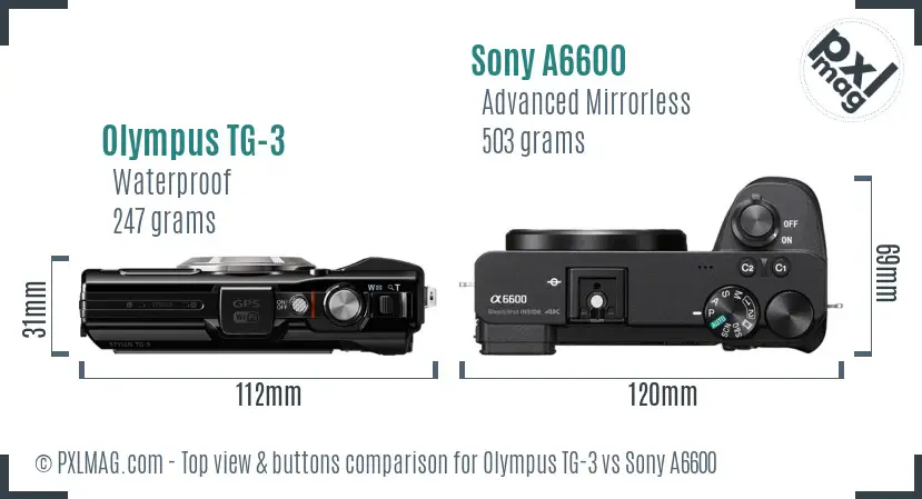 Olympus TG-3 vs Sony A6600 top view buttons comparison