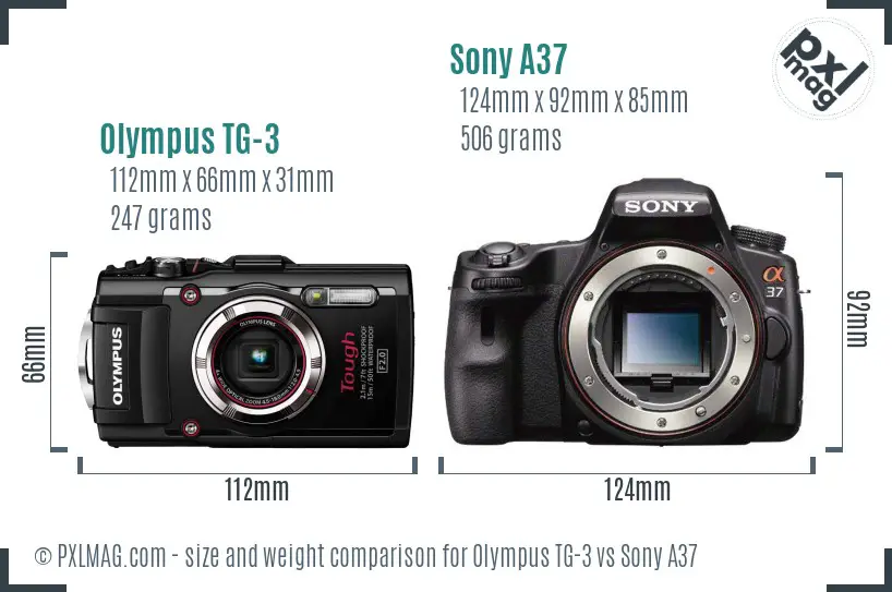 Olympus TG-3 vs Sony A37 size comparison