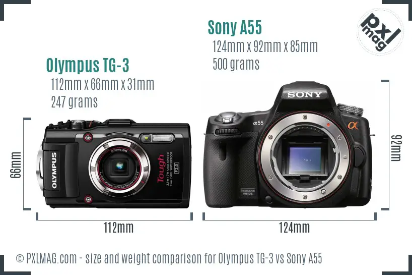 Olympus TG-3 vs Sony A55 size comparison