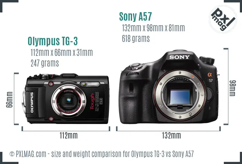 Olympus TG-3 vs Sony A57 size comparison