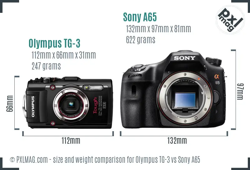Olympus TG-3 vs Sony A65 size comparison