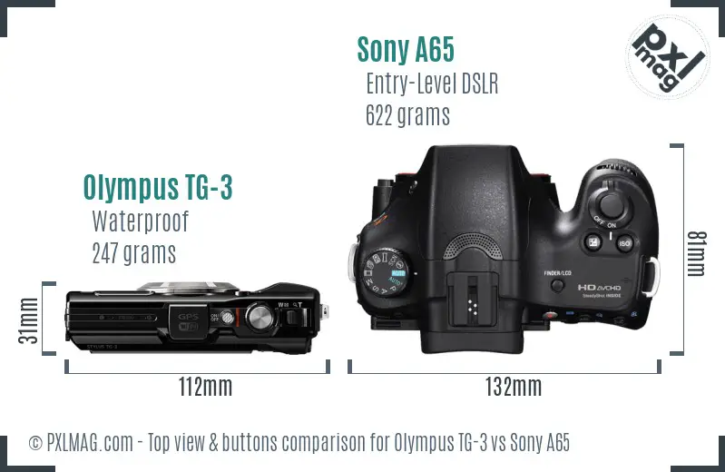 Olympus TG-3 vs Sony A65 top view buttons comparison
