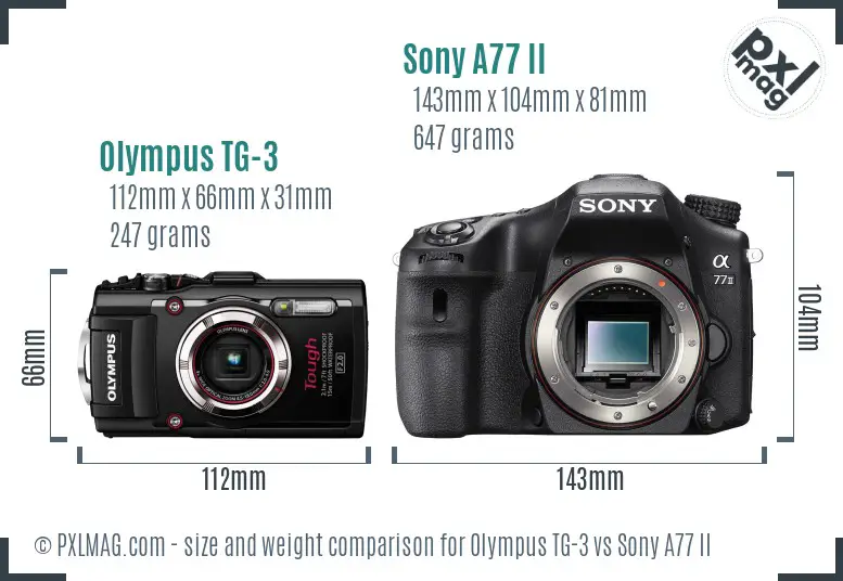 Olympus TG-3 vs Sony A77 II size comparison