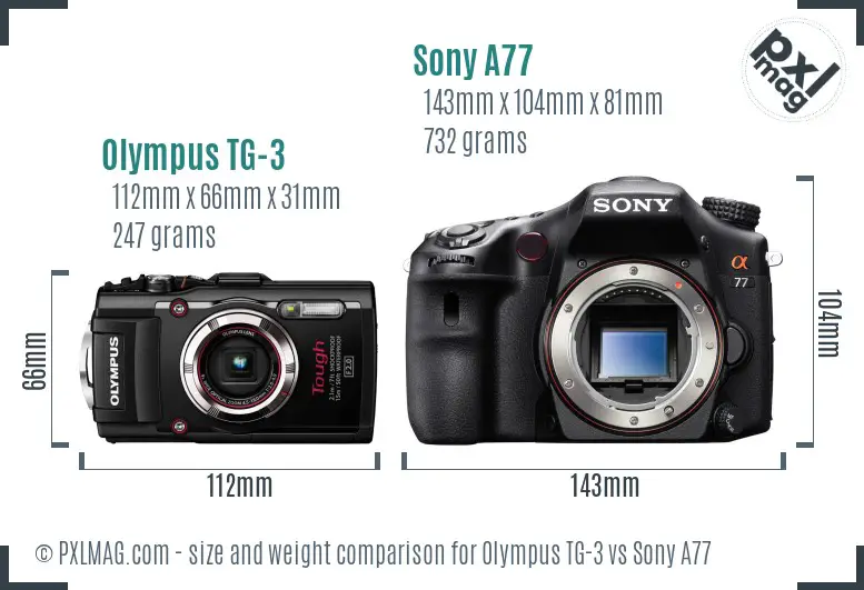 Olympus TG-3 vs Sony A77 size comparison