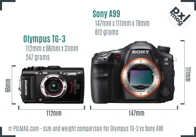 Olympus TG-3 vs Sony A99 size comparison
